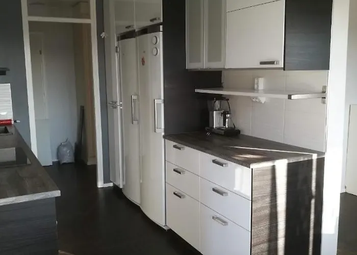 2br With Sauna, Hallituskatu Apartment *